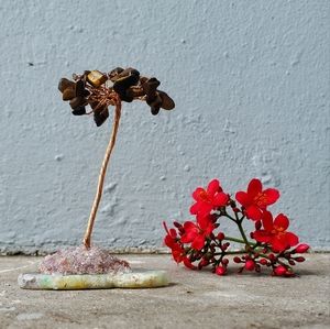 Tigers Eye Lucky Tree